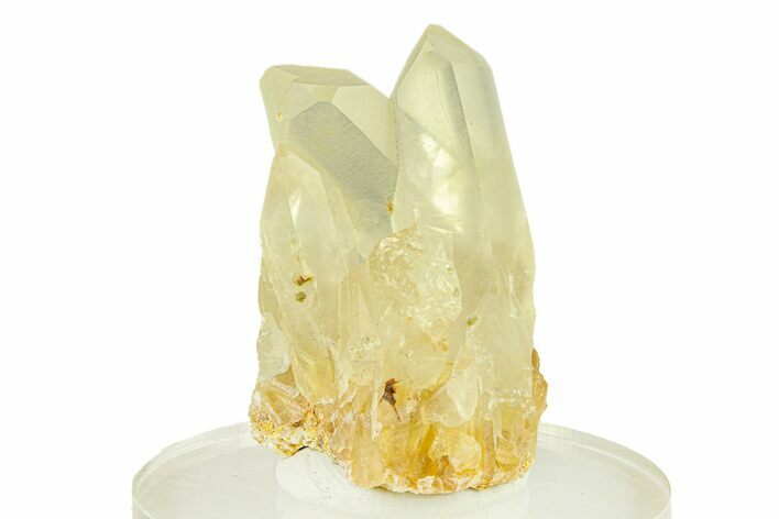 Quartz Crystal Cluster - Spruce Ridge, Washington #301256
